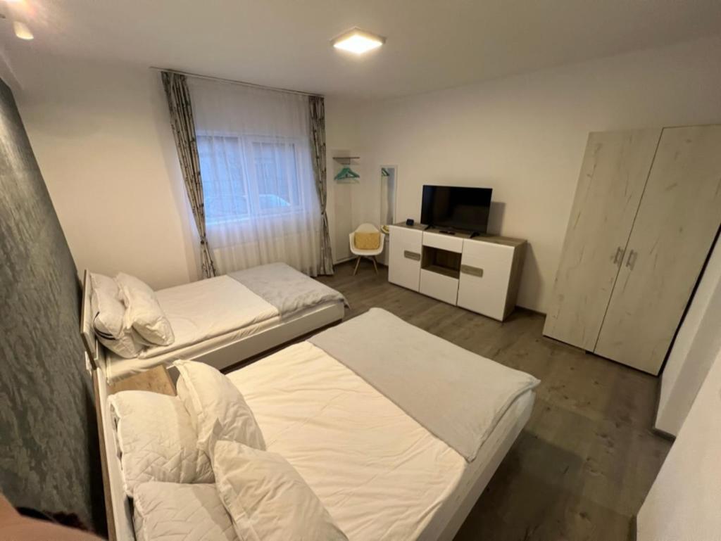 1-Beadroom Apartment With Free Parking Turda Exteriér fotografie